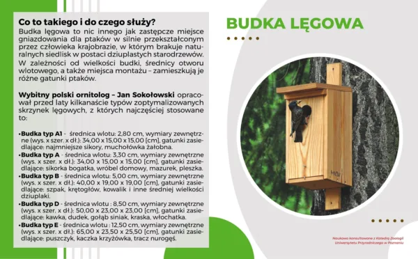 NB-210-1 Vzdelávacia tabuľa 49 × 30 cm