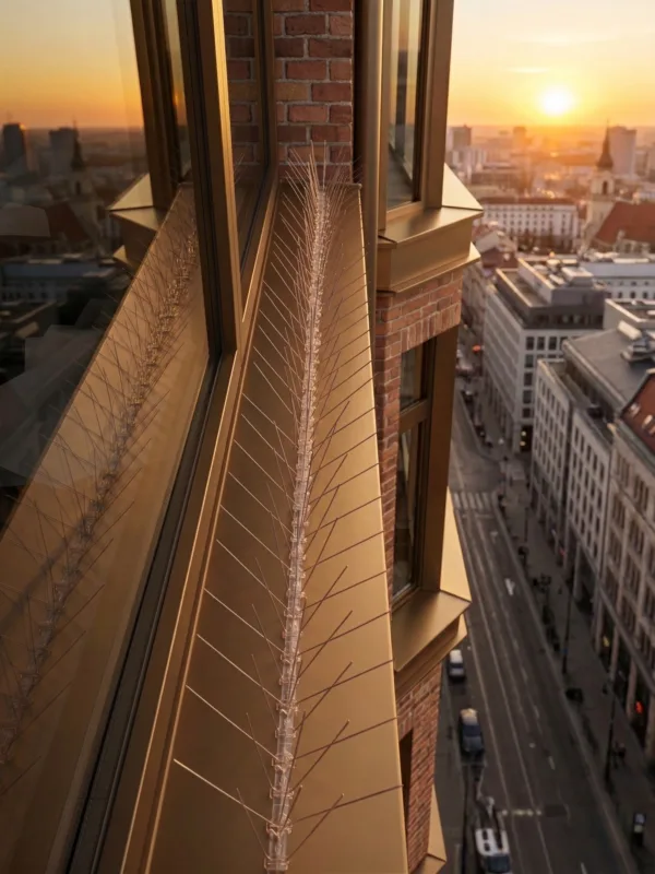 Hroty proti holubom typ Y170 na parapete