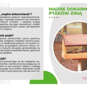 Vzdelávacia tabuľa 49 × 30 cm