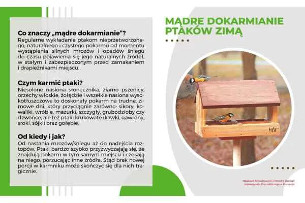 Vzdelávacia tabuľa 49 × 30 cm